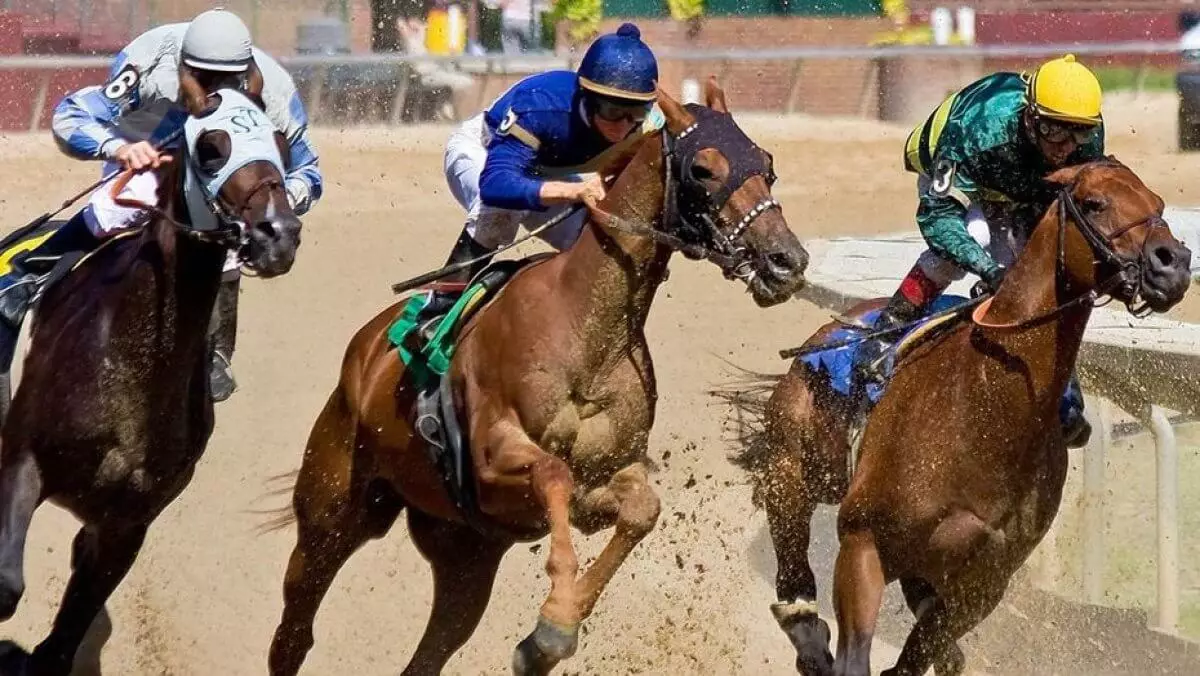 «Кабирхан - это большая случайность": эксперт заявил о неготовности Казахстана развивать конный спорт