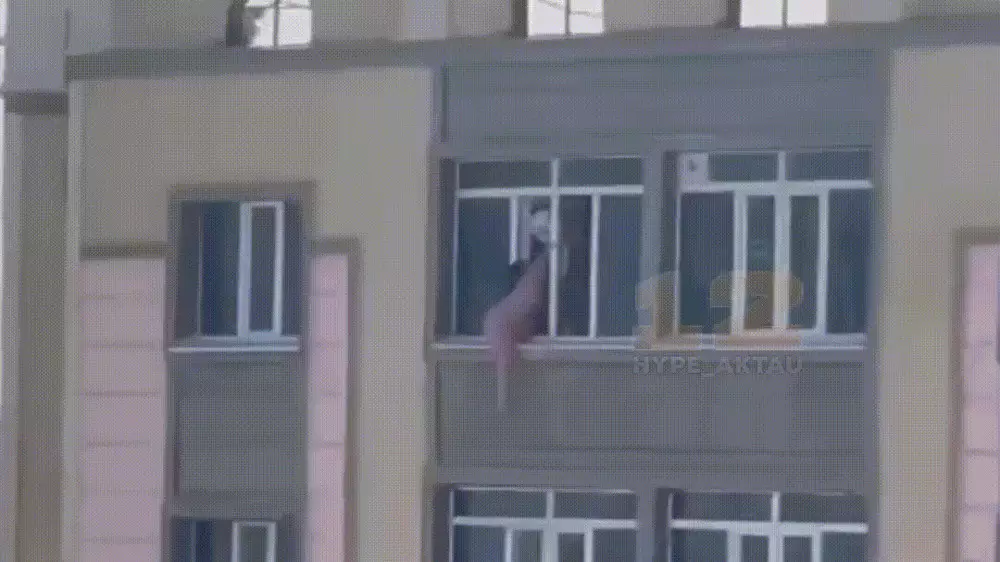 Казахстанка едва не выпала из окна многоэтажки: видео