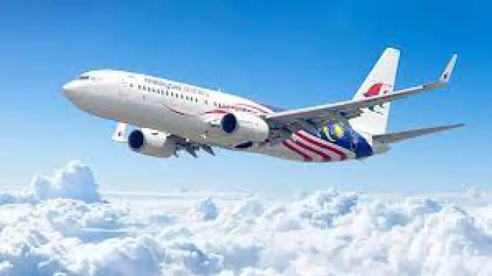 В Малайзии хотят возобновить поиски пропавшего 10 лет назад самолета с пассажирами