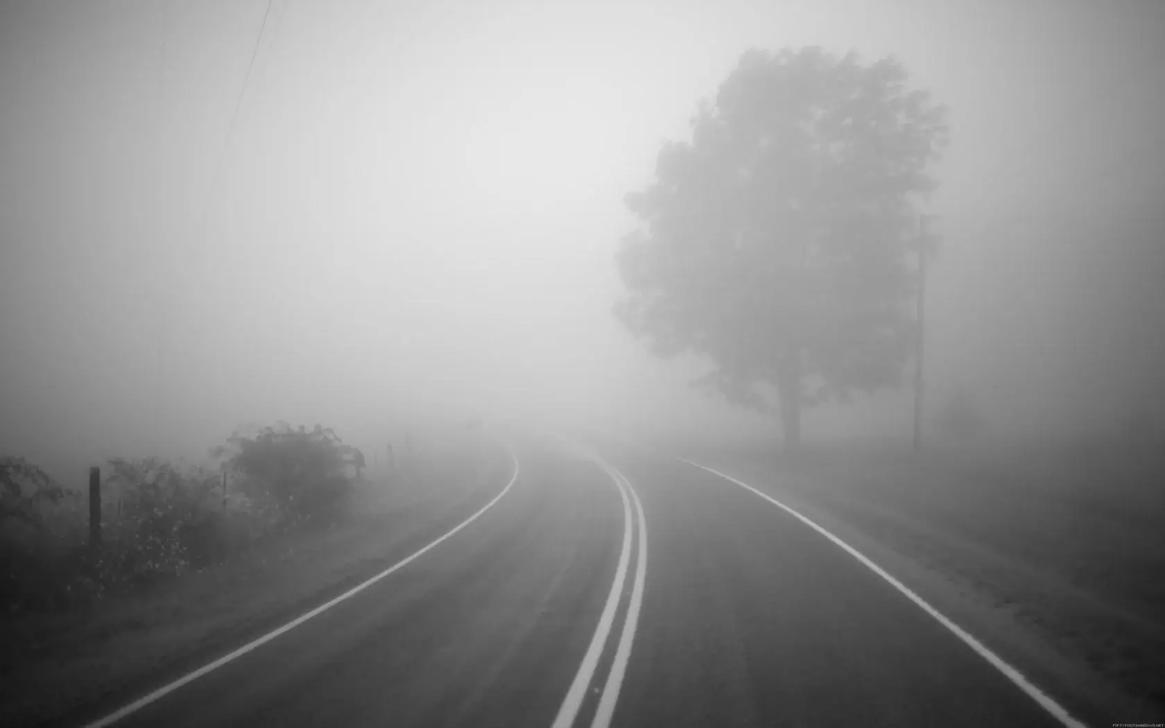 Осторожно, туман: ограничение видимости на дорогах в шести областях