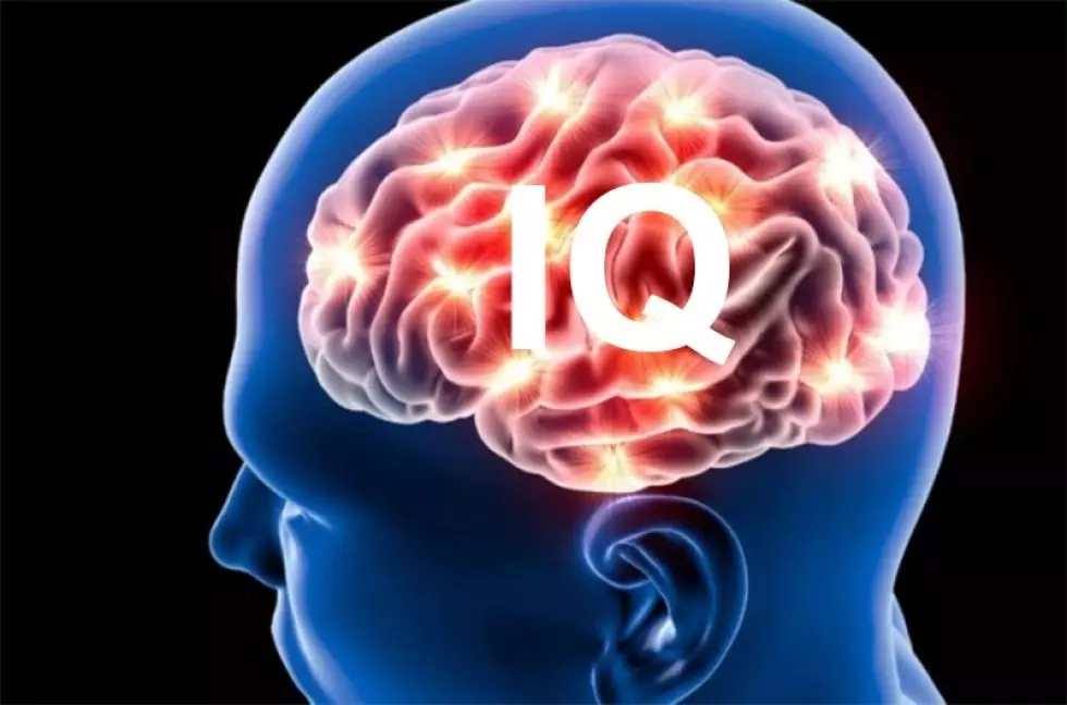 Назван средний уровень IQ в Узбекистане
