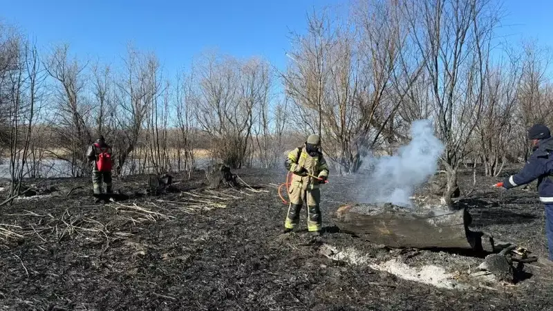 Пожар на побережье Каспия: сгорело 1000 гектаров тростника