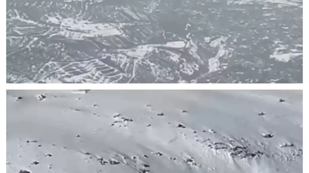 Лавины сошли в горах Алматы