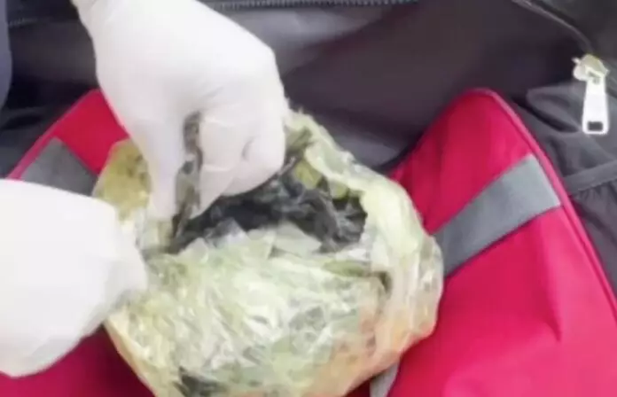 Мефедрон на 30 млн тенге обнаружили в багажнике такси в Шымкенте