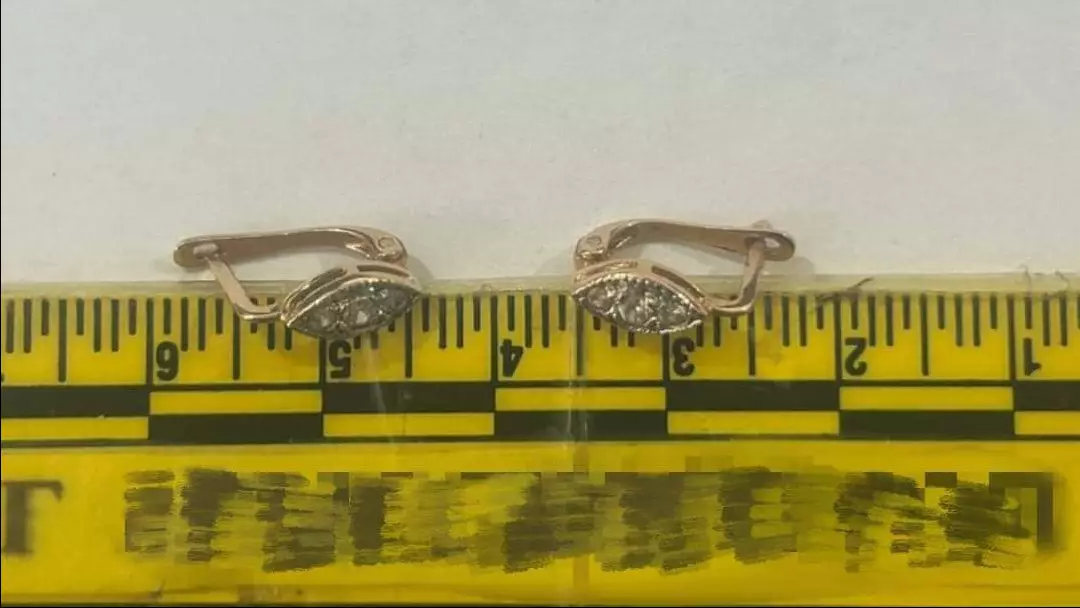 Арыс тұрғыны 8 айлық сәбидің құлағынан алтын сырғасын шешіп алған