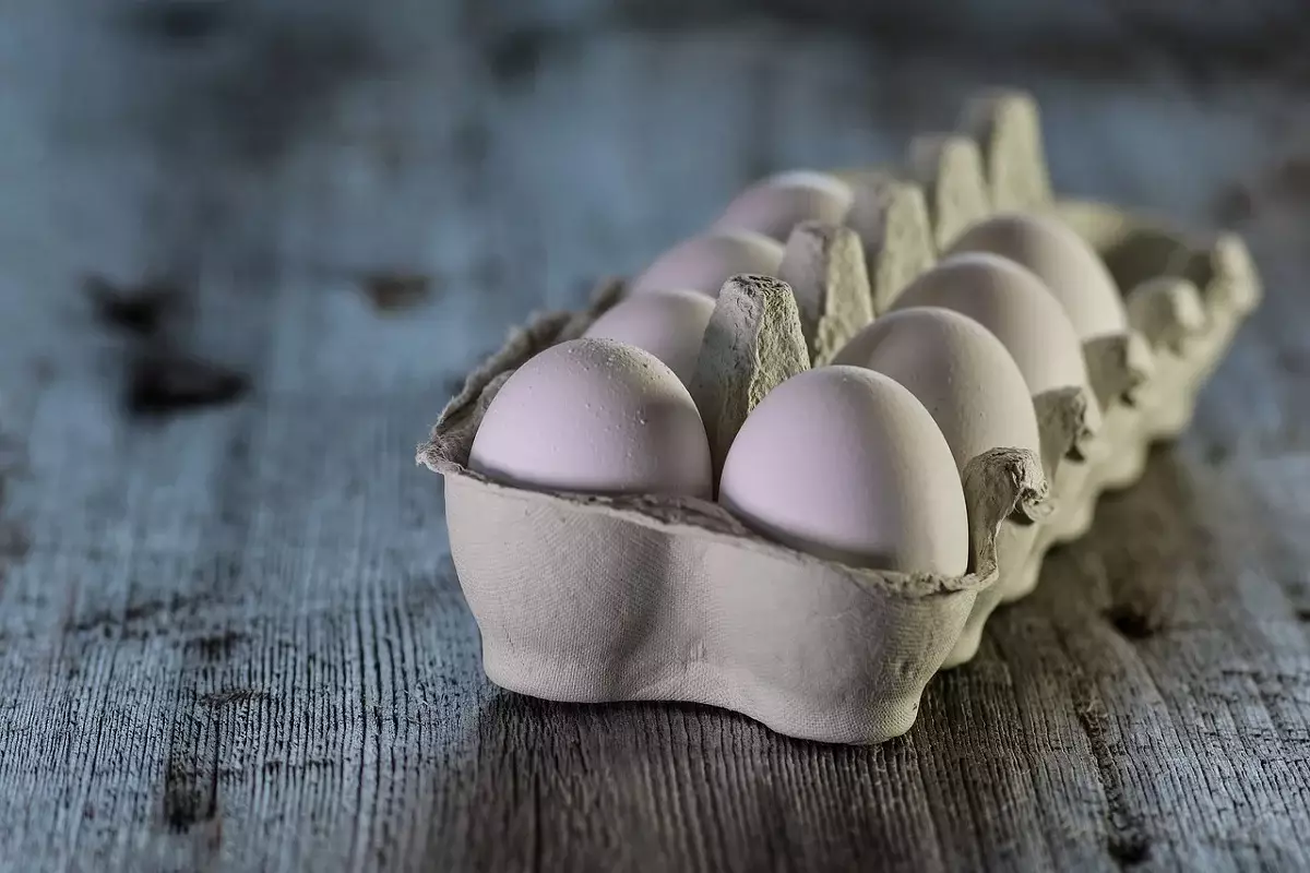 Казахстан увеличил экспорт яиц в Россию