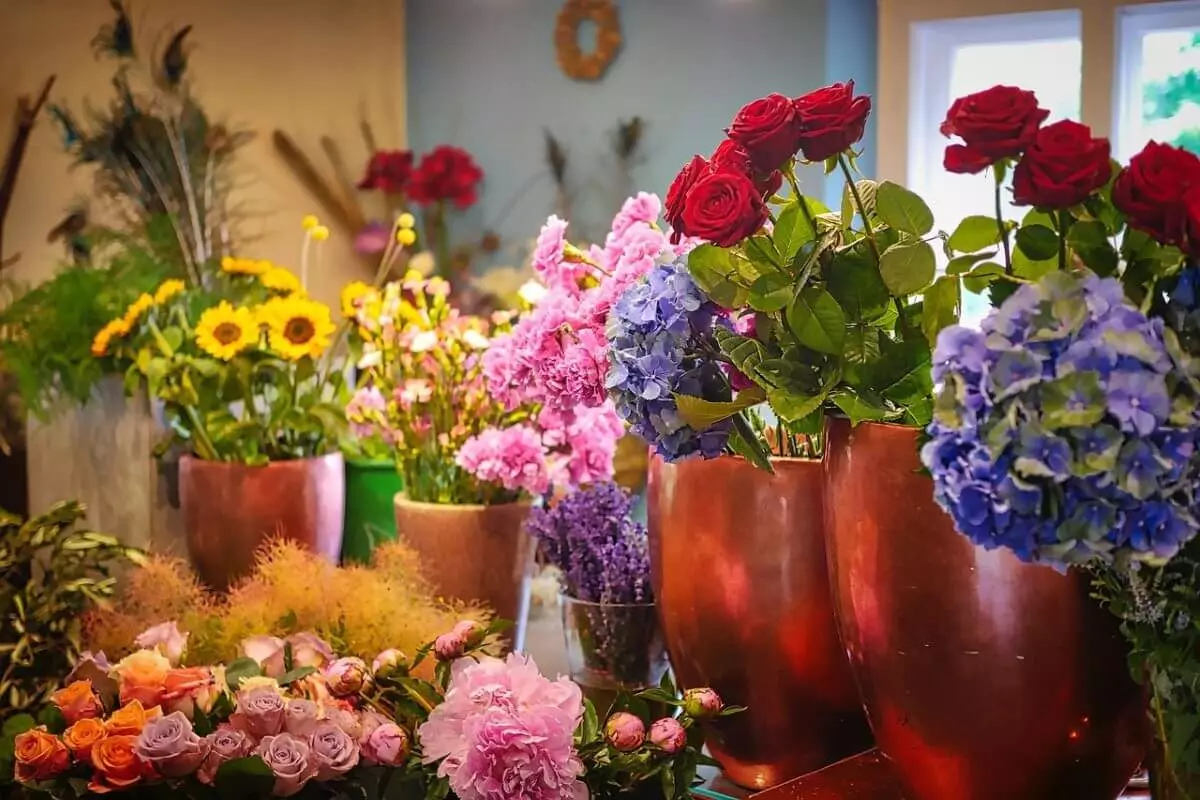 Цветочный бизнес накануне 8 марта: сколько стоят розы в Казахстане?
