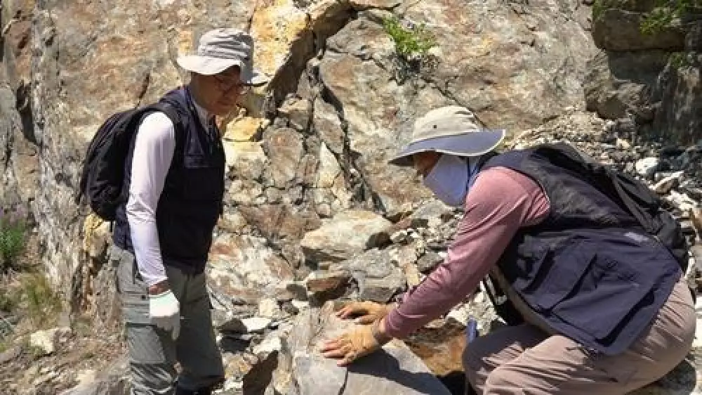 Крупное месторождение лития нашли в Казахстане корейские ученые