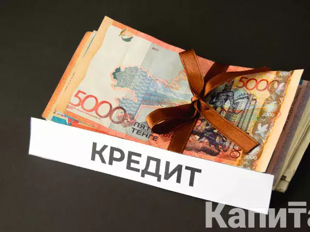 Понятия рассрочки и кредита в Казахстане активно подменяют - депутат 