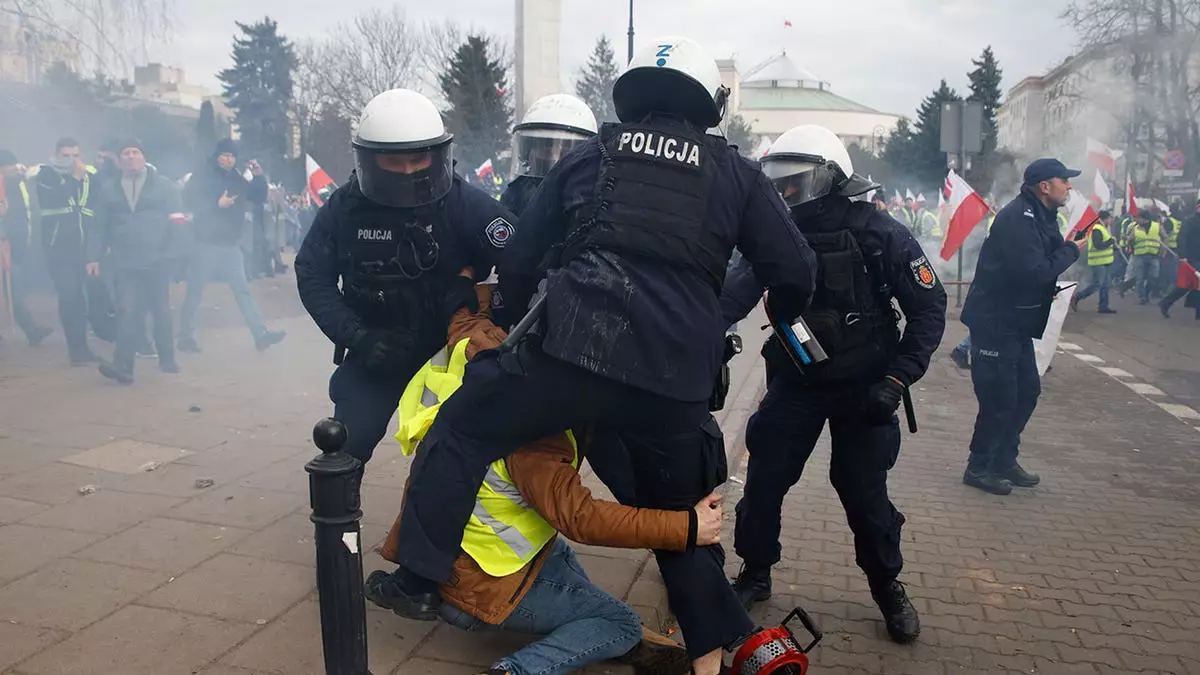 Польское правительство назвало виновных в массовых беспорядках