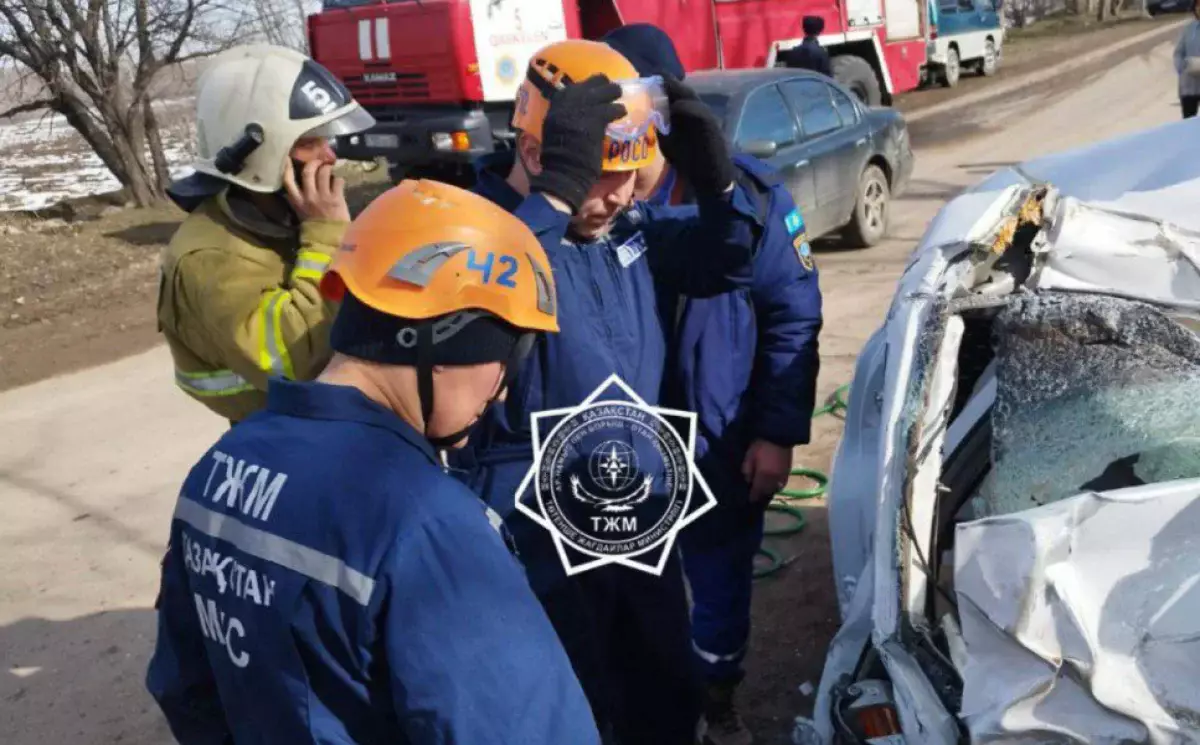 Страшное ДТП с деревом в Алматинской области: Тело пассажира доставали с помощью спецоборудования