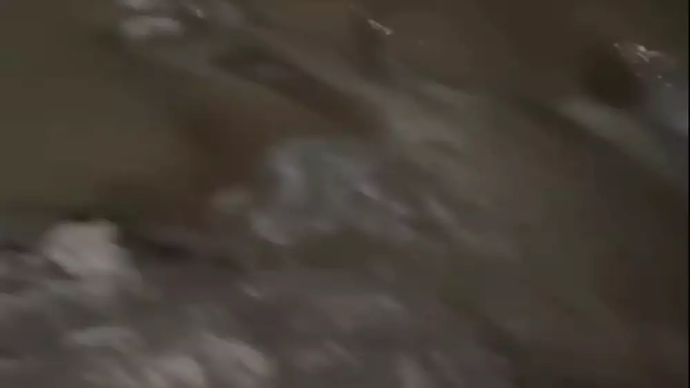 Паводки в Маканчинском районе области Абай сняли на видео