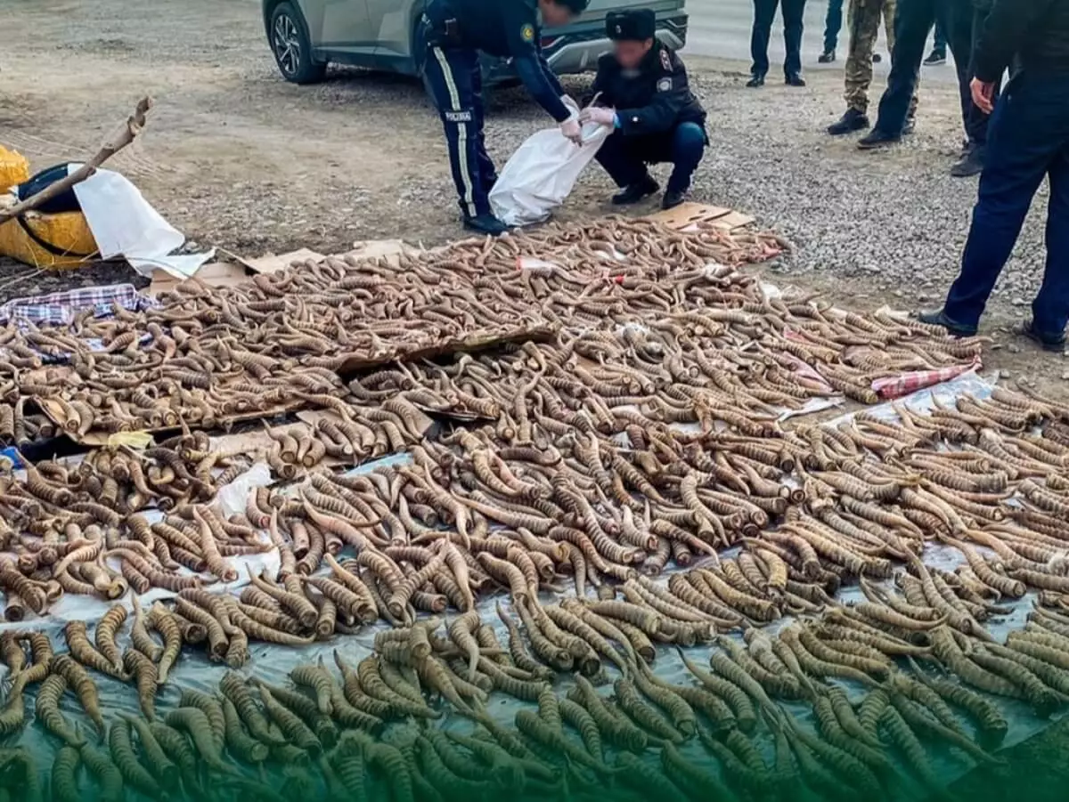 Казахстанцев задержали с рогами сайги на 3,5 млрд тенге