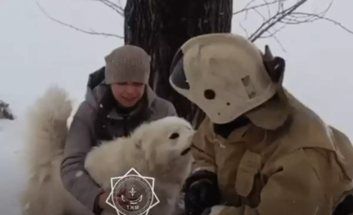 Трогательное спасение собаки сняли на видео в Риддере