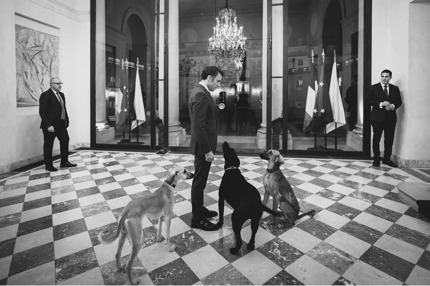 В Сети появилось фото президента Франции в Елисейском дворце с казахскими тазы