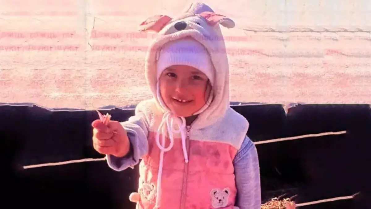 Трехлетняя девочка пропала в Алматинской области