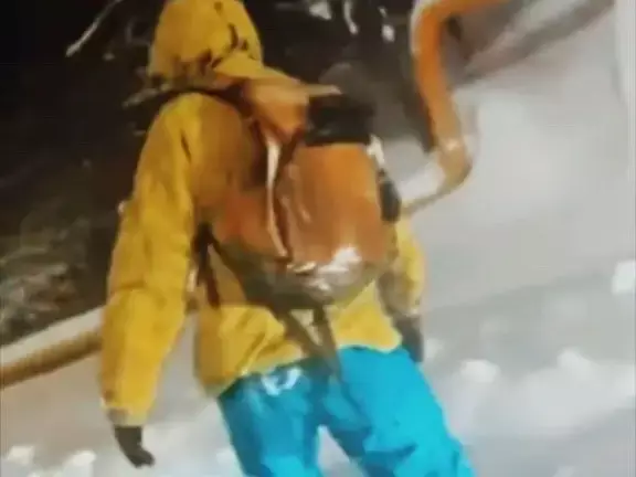 Катающегося по заснеженным улицам Алматы сноубордиста сняли на видео