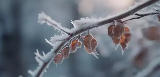 Синоптики прогнозируют морозы в Казахстане