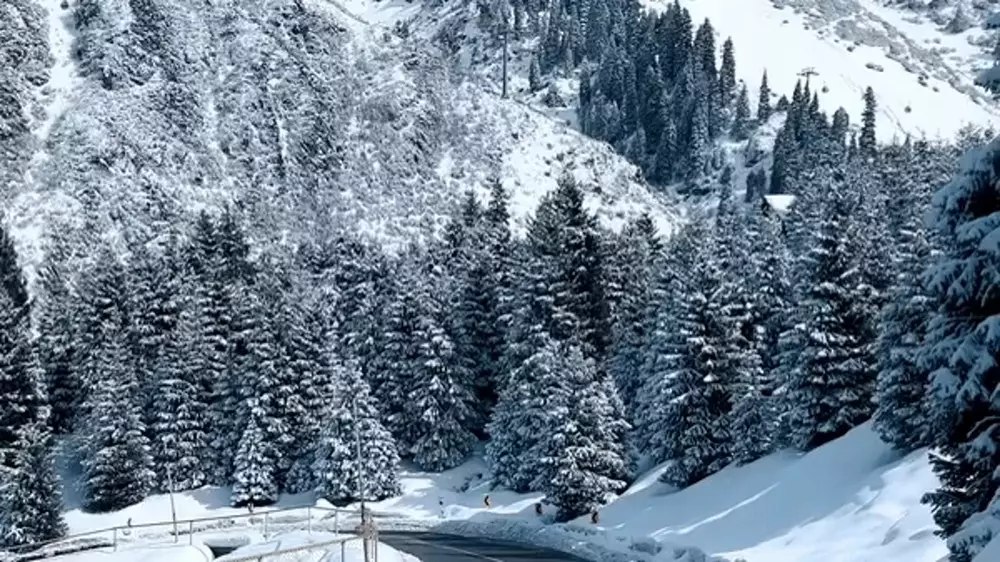Невероятное утро в горах Алматы после снегопада снял на видео казахстанский путешественник