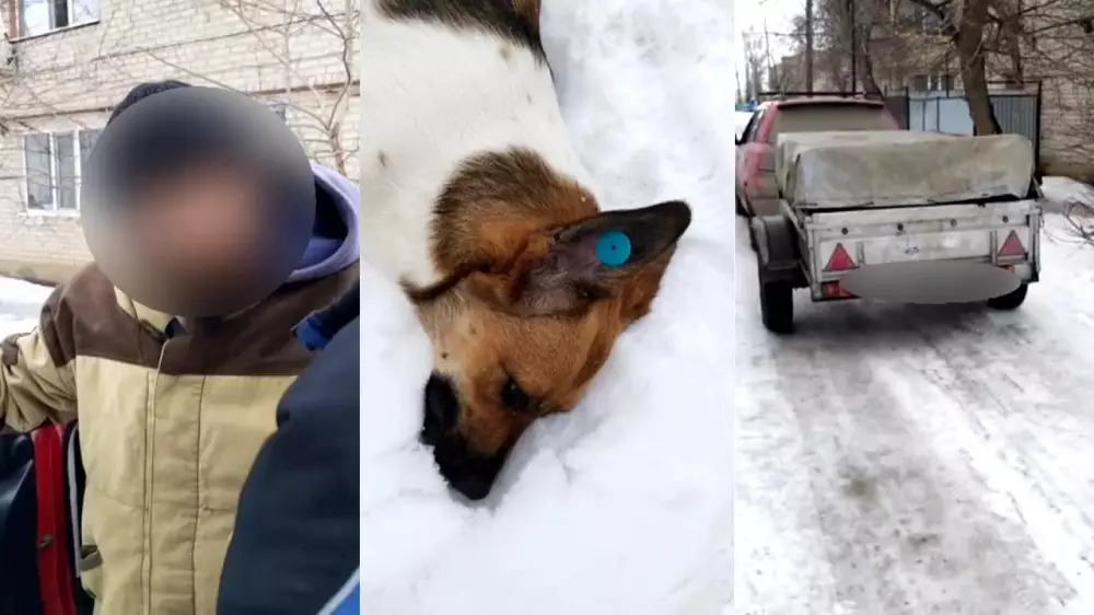 Казахстанка заявила в полицию из-за смерти собаки