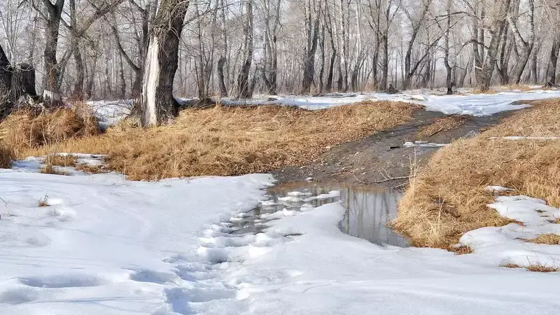 Талые воды затопили автодорогу в Восточно-Казахстанской области
