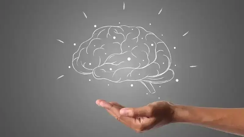 Как улучшить очистку мозга в период развития деменции – исследование