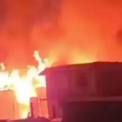 48 голов скота погибло в пожаре в Жамбылской области
