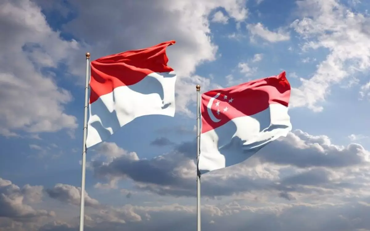 Сингапур и Индонезия заключили оборонительный пакт