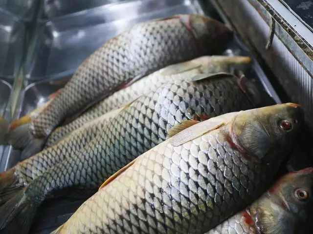 Рыба и морепродукты подорожали на 10% за год