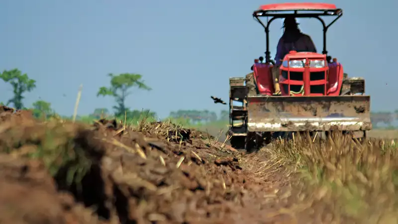 На прицепе по грязи: как на западе Казахстана трактор возил детей на ЕНТ