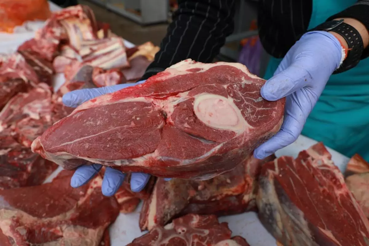 Фиктивные ветсправки для реализации мяса выдавала частная лаборатория в Акмолинской области