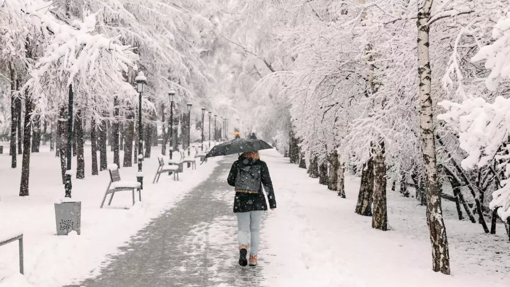 Снег и похолодание принесет циклон в Казахстан