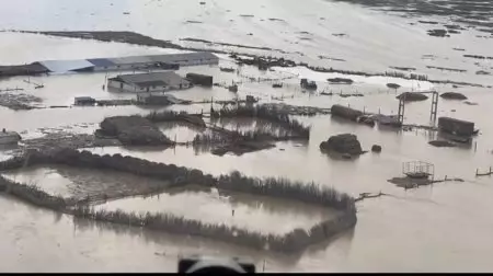 Большая вода: в МЧС показали на видео спасение людей в Костанайской области