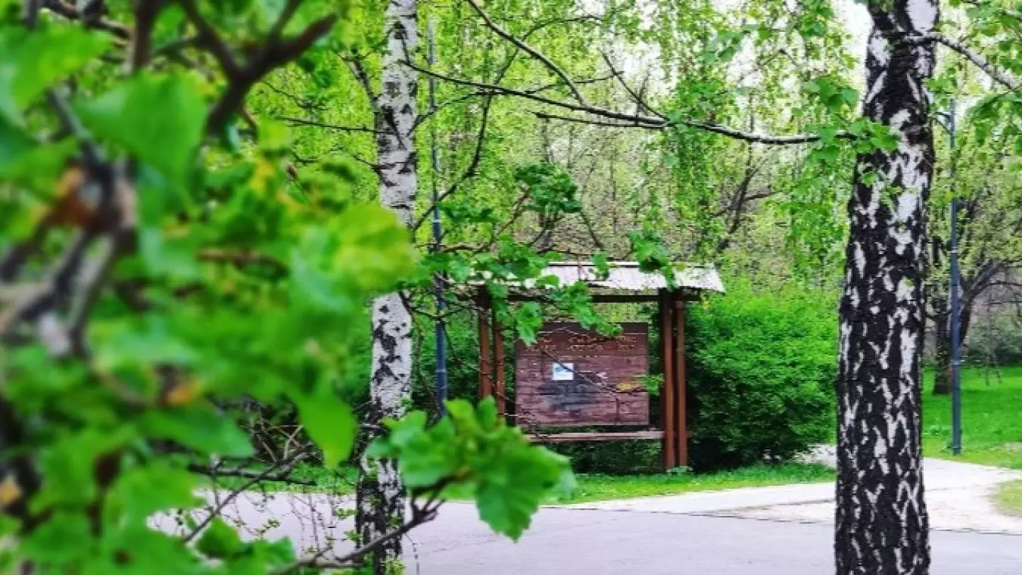 Парк «Южный» в Алматы спасли от застройки