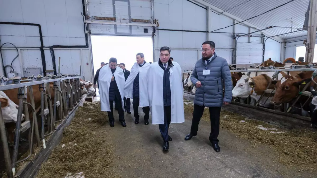 Олжас Бектенов побывал на «умной ферме» в СКО и обсудил с аграриями меры поддержки