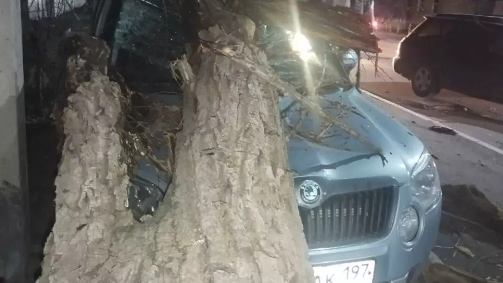 Падение деревьев и обрыв проводов: автовладельцев предупредили в Алматы