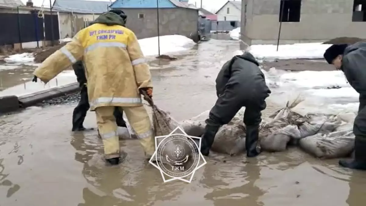 Волонтёры активно помогают спасателям в Казахстане
