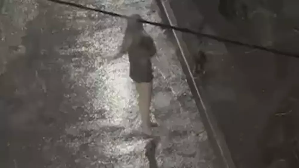 Танец босоногой алматинки посреди бури попал на видео