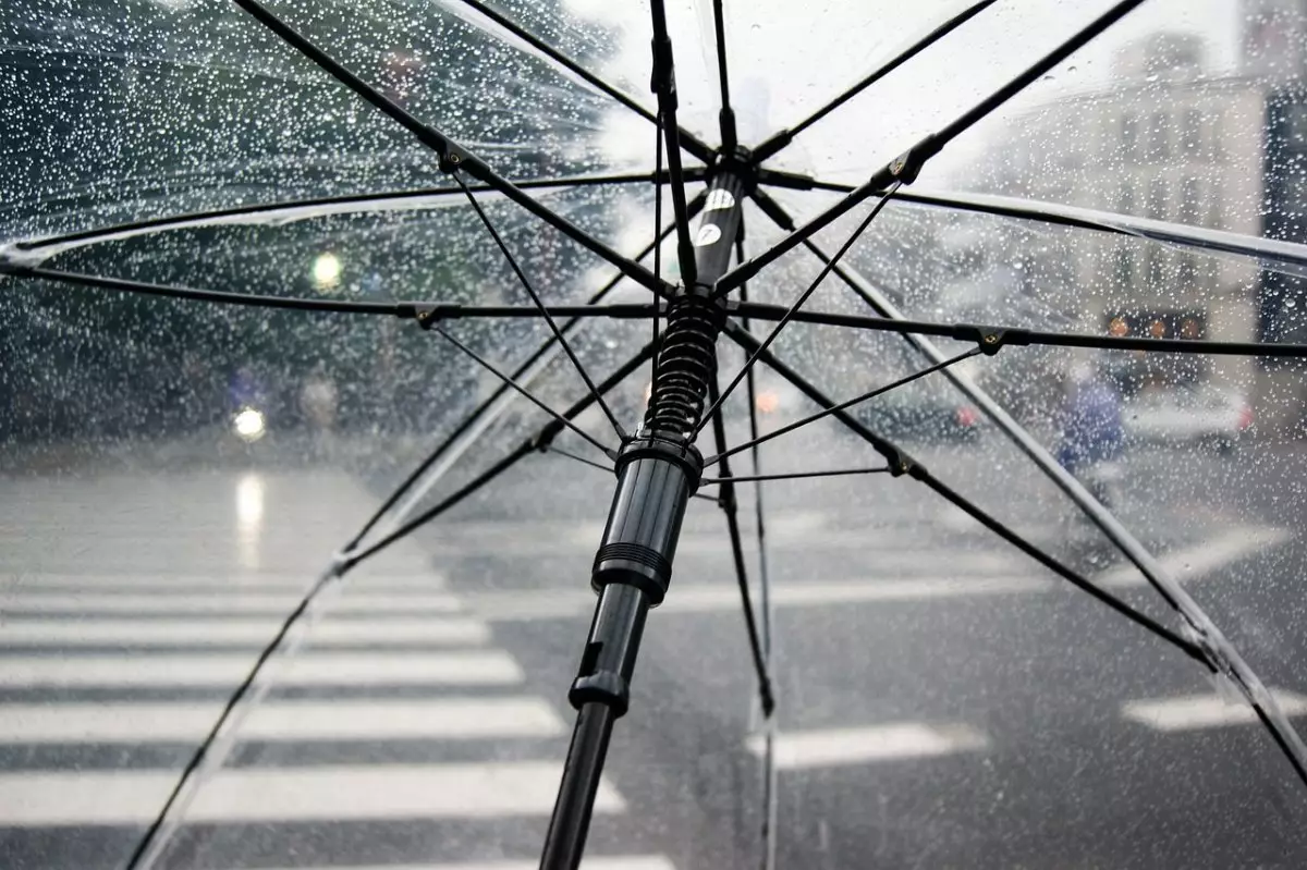 Дождь прогнозируют синоптики в Казахстане