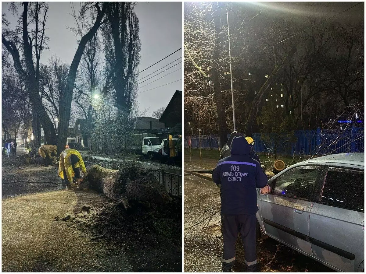 Отключение света, падение деревьев и сорванные крыши — последствия шторма в Алматы