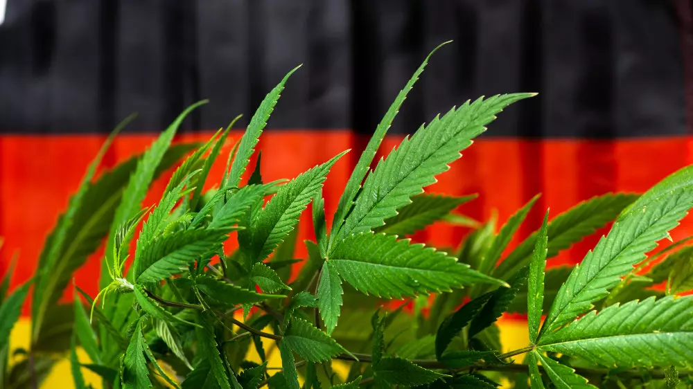 Германия легализовала марихуану