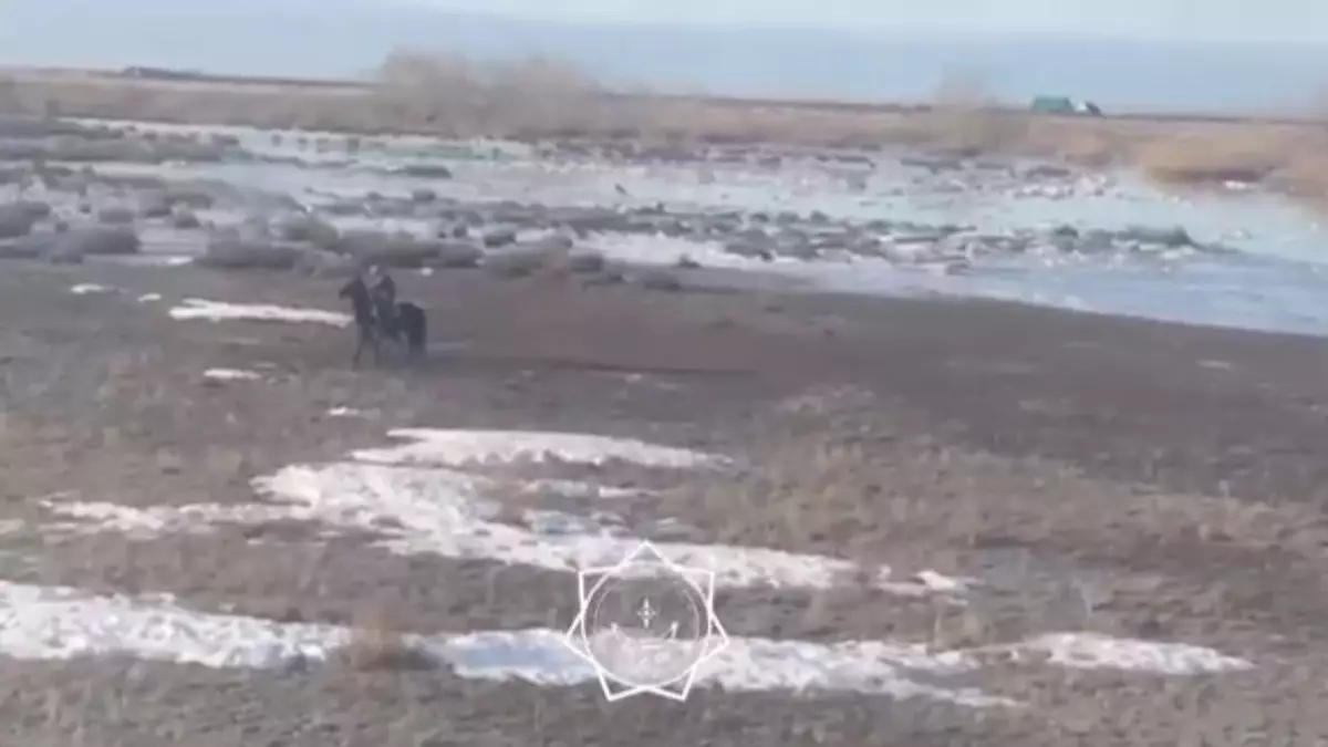 Двоих пастухов спасли на вертолёте в области Абай
