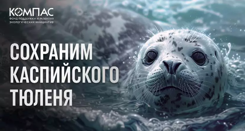 Экологи России: Основные причины гибели каспийских тюленей - вирус птичьего гриппа