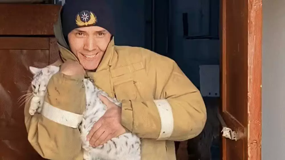 "Этим ребятам лайки ставить надо": казахстанцы поблагодарили спасателей