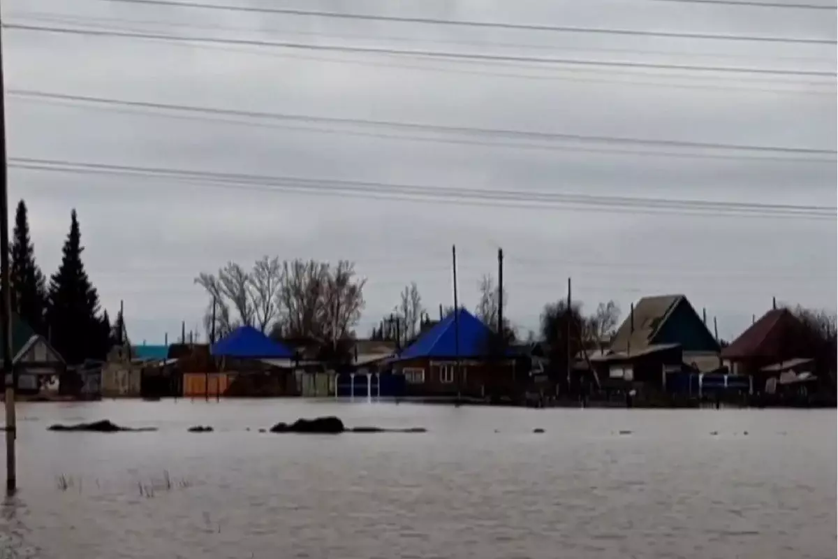Паводки затопили Алтайский край и стали причиной гибели 6-летней девочки