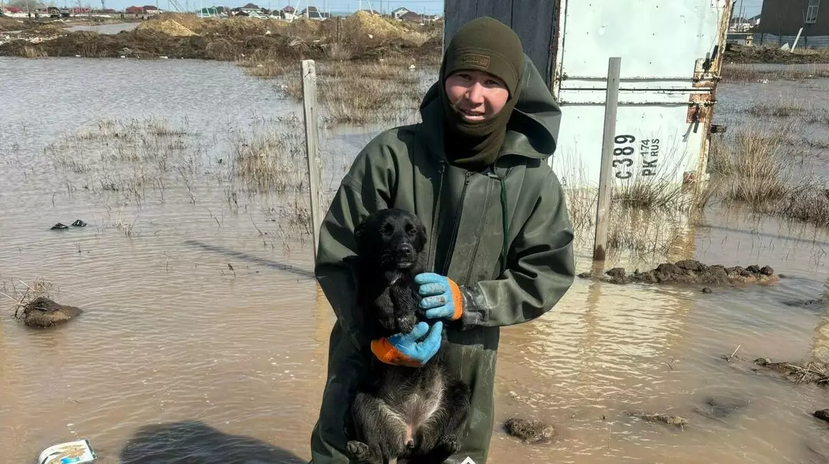 Спасатель освободил щенка из затопленной будки в Акмолинской области