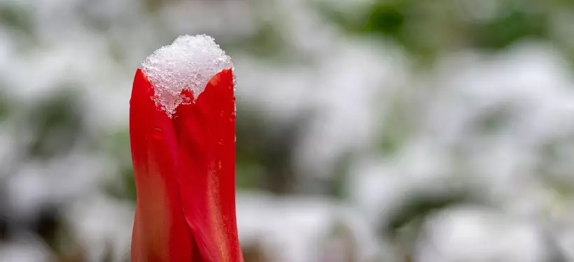 Зимние сюрпризы весны и жаркий июнь – "Казгидромет" выдал предварительный прогноз