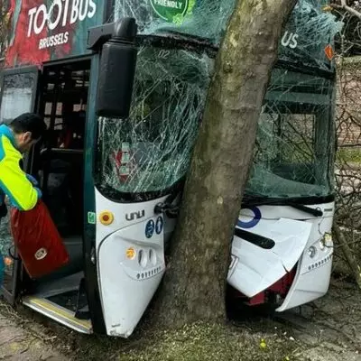 Туристический автобус врезался в дерево в Брюсселе
