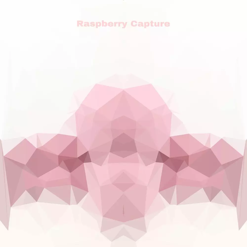 Новый альбом Rainbow Waterfall, Raspberry Capture - Raspberry Capture