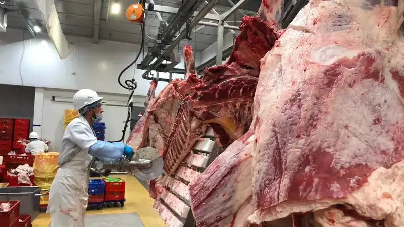 В Казахстане и странах ЕАЭС изменился техрегламент на мясо и мясную продукцию